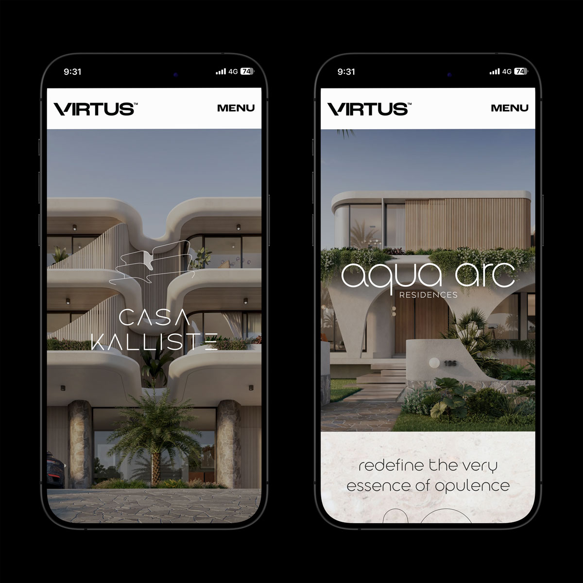 Virtus Website Design