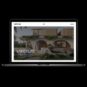 Virtus Website Design