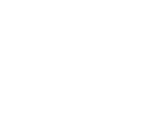 Black-Diamond-Logo-Gold-Hex-Code-d3bc8d_